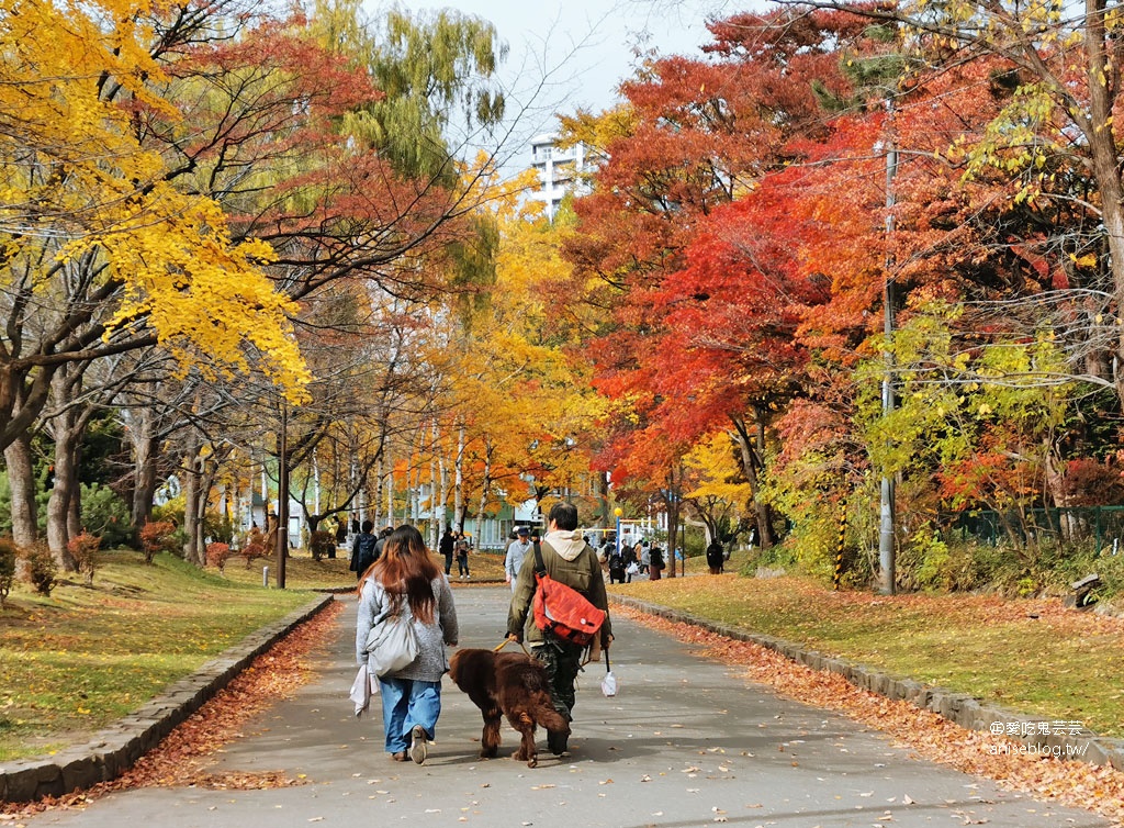 札幌女子5日小旅行 | 中島公園賞楓、札幌電視台夜景、開陽亭活毛蟹三吃、札幌啤酒博物館、北海道戀人觀光工廠、MITSUI OUTLET PARK 札幌北廣島、舊道廳、tsubaki salon吃鬆餅