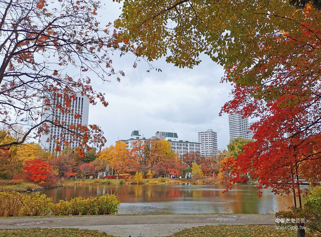 札幌女子5日小旅行 | 中島公園賞楓、札幌電視台夜景、開陽亭活毛蟹三吃、札幌啤酒博物館、北海道戀人觀光工廠、MITSUI OUTLET PARK 札幌北廣島、舊道廳、tsubaki salon吃鬆餅