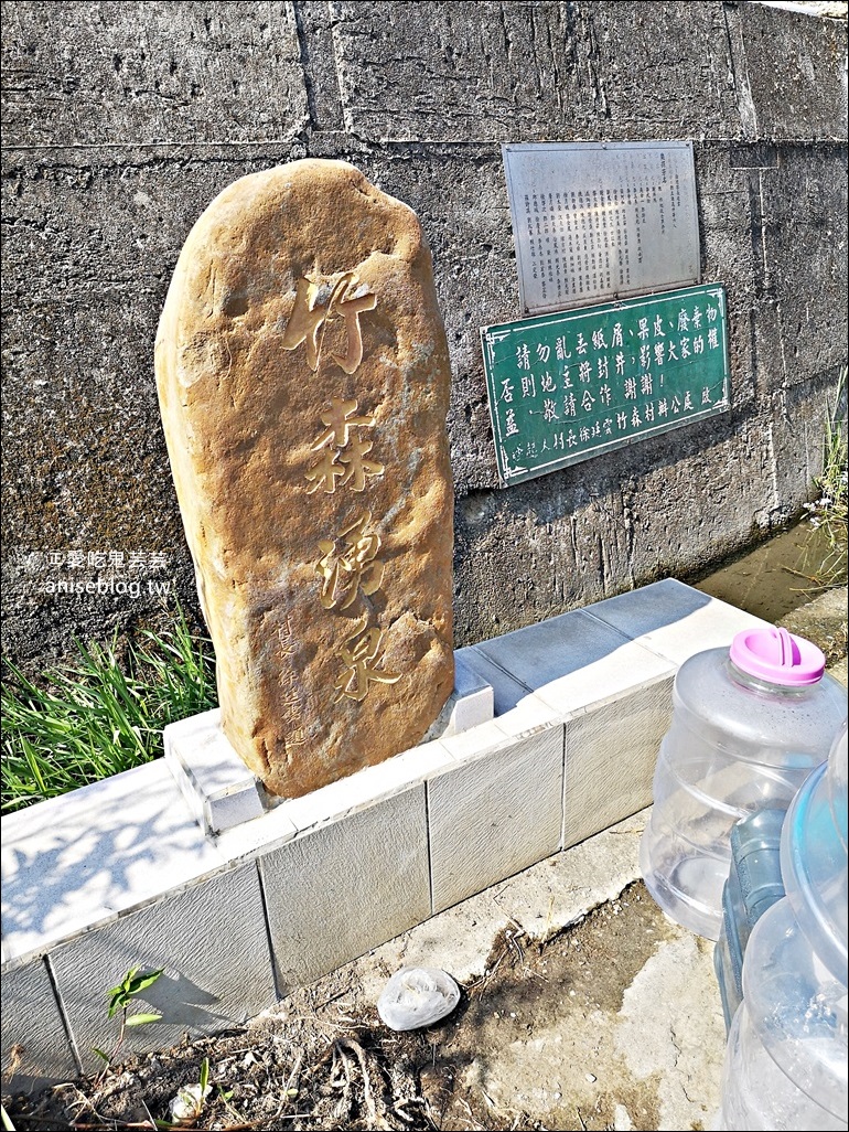 銅鑼杭菊賞花秘境，苗栗一日遊(姊姊遊記)