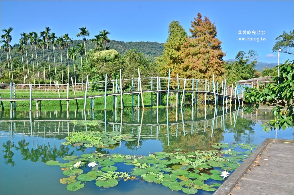 絕美七彩落羽松，八個宜蘭落羽松秘境景點一次收集(姊姊遊記)