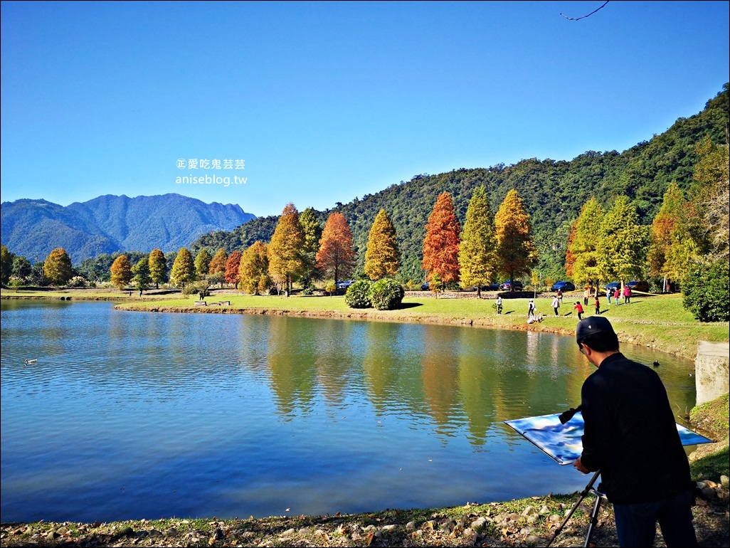 絕美七彩落羽松，八個宜蘭落羽松秘境景點一次收集(姊姊遊記)