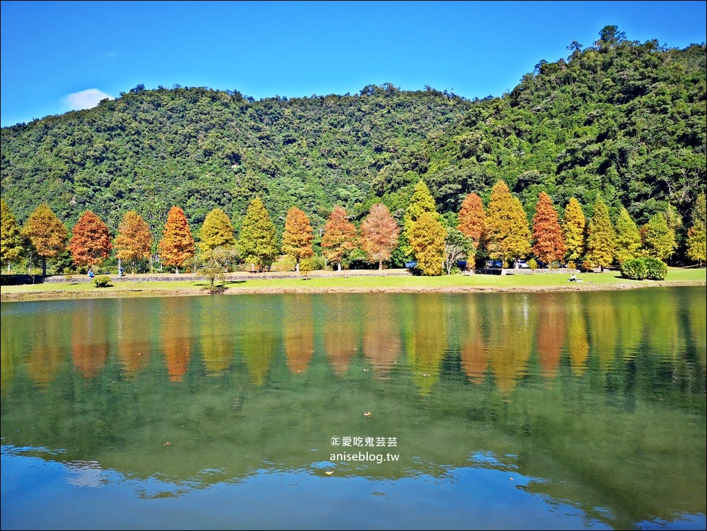 絕美七彩落羽松，八個宜蘭落羽松秘境景點一次收集(姊姊遊記)