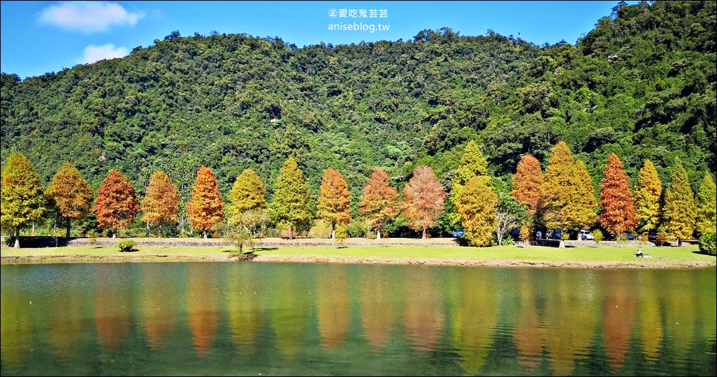 絕美七彩落羽松，八個宜蘭落羽松秘境景點一次收集(姊姊遊記)