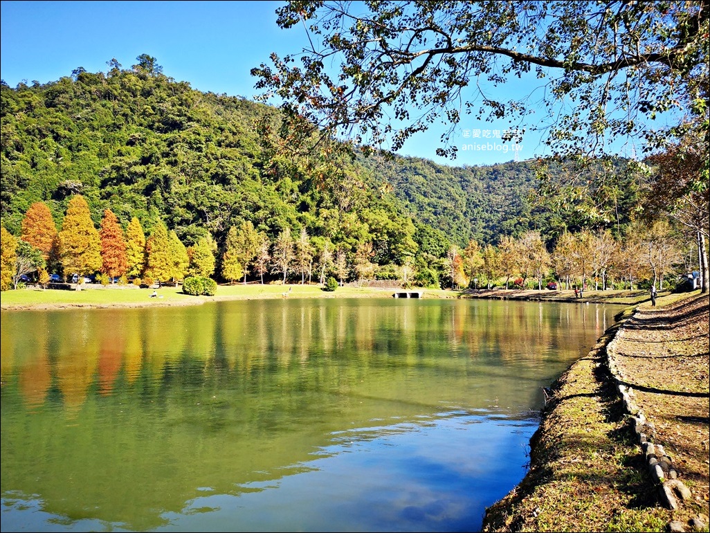 絕美七彩落羽松，八個宜蘭落羽松秘境景點一次收集(姊姊遊記)