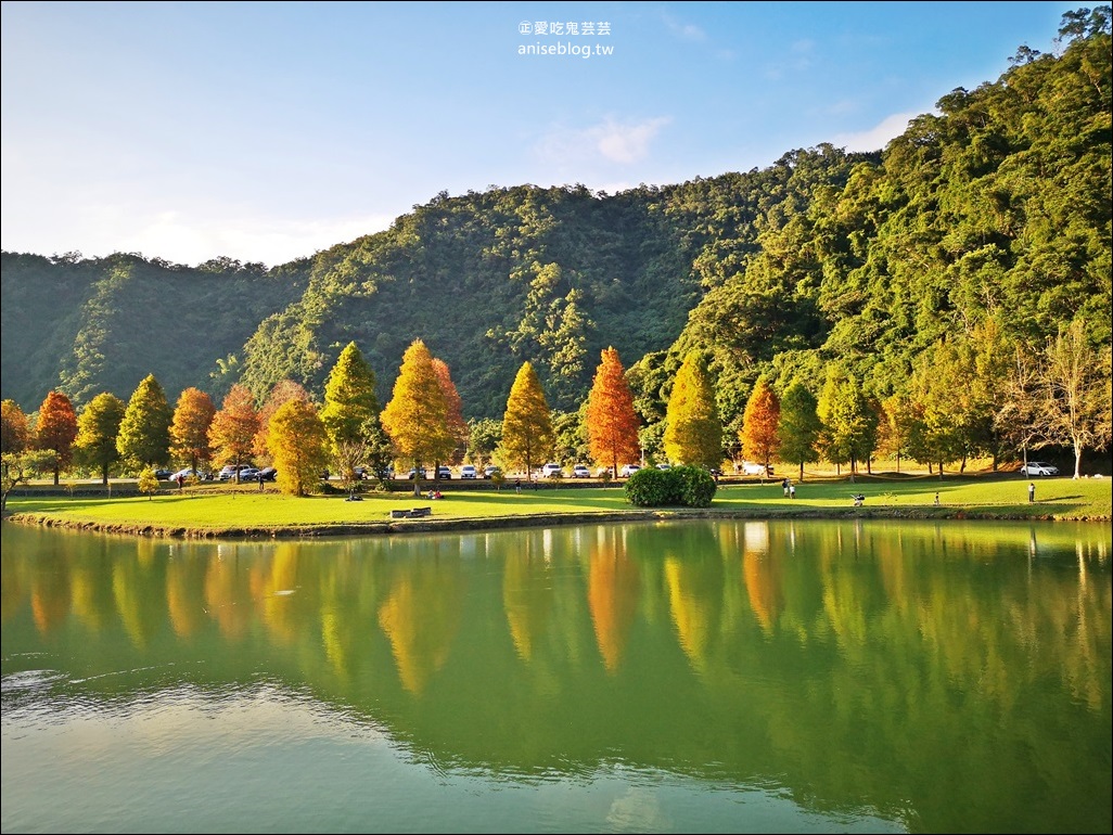 絕美七彩落羽松，八個宜蘭落羽松秘境景點一次收集(姊姊遊記)