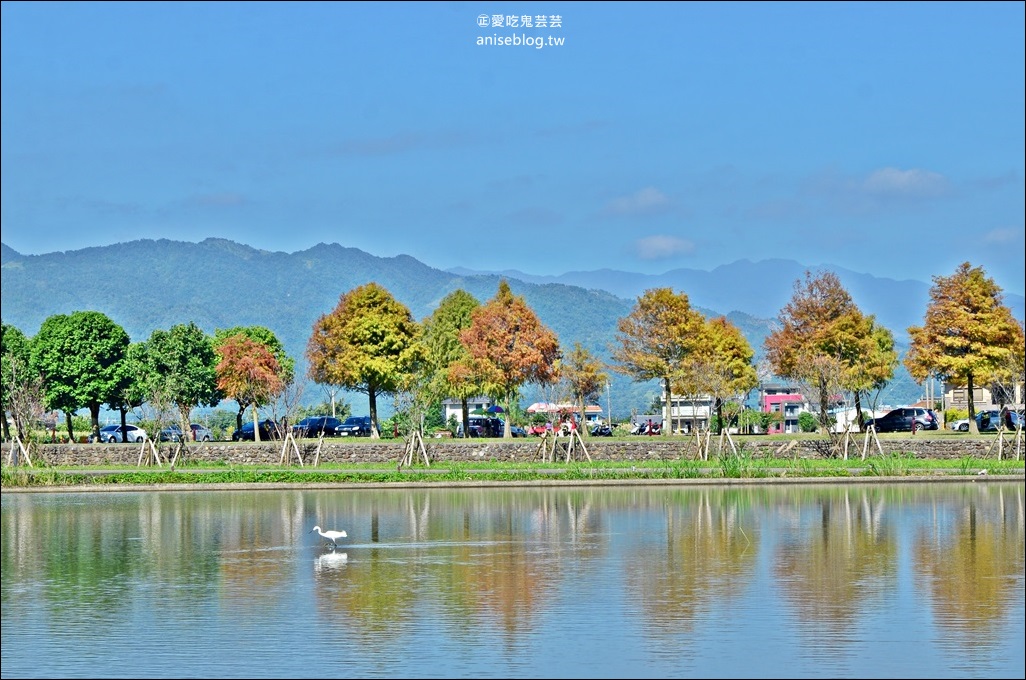 絕美七彩落羽松，八個宜蘭落羽松秘境景點一次收集(姊姊遊記)