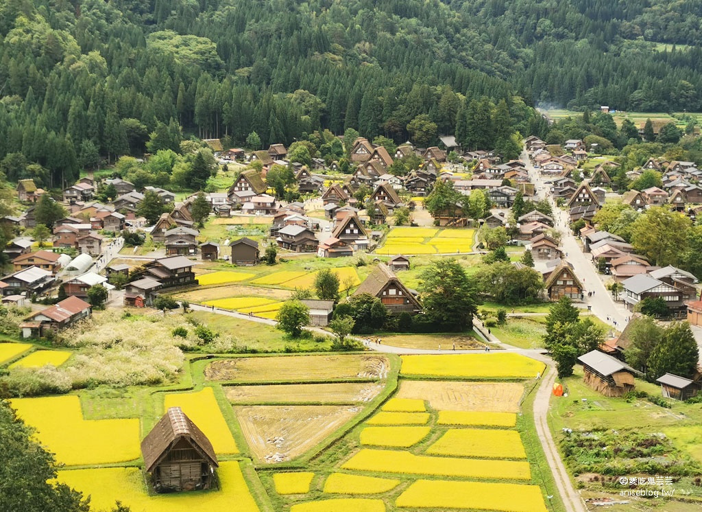 合掌村一日遊：城山展望台、高山小吃、和田家、合掌造文化喫茶鄉愁咖啡、狩人輕食、三間小屋 @2019日本中部孝親之旅