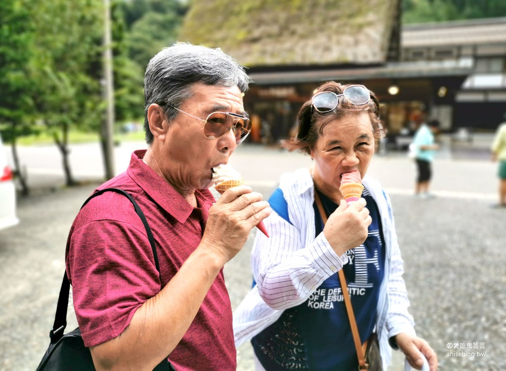 合掌村一日遊：城山展望台、高山小吃、和田家、合掌造文化喫茶鄉愁咖啡、狩人輕食、三間小屋 @2019日本中部孝親之旅