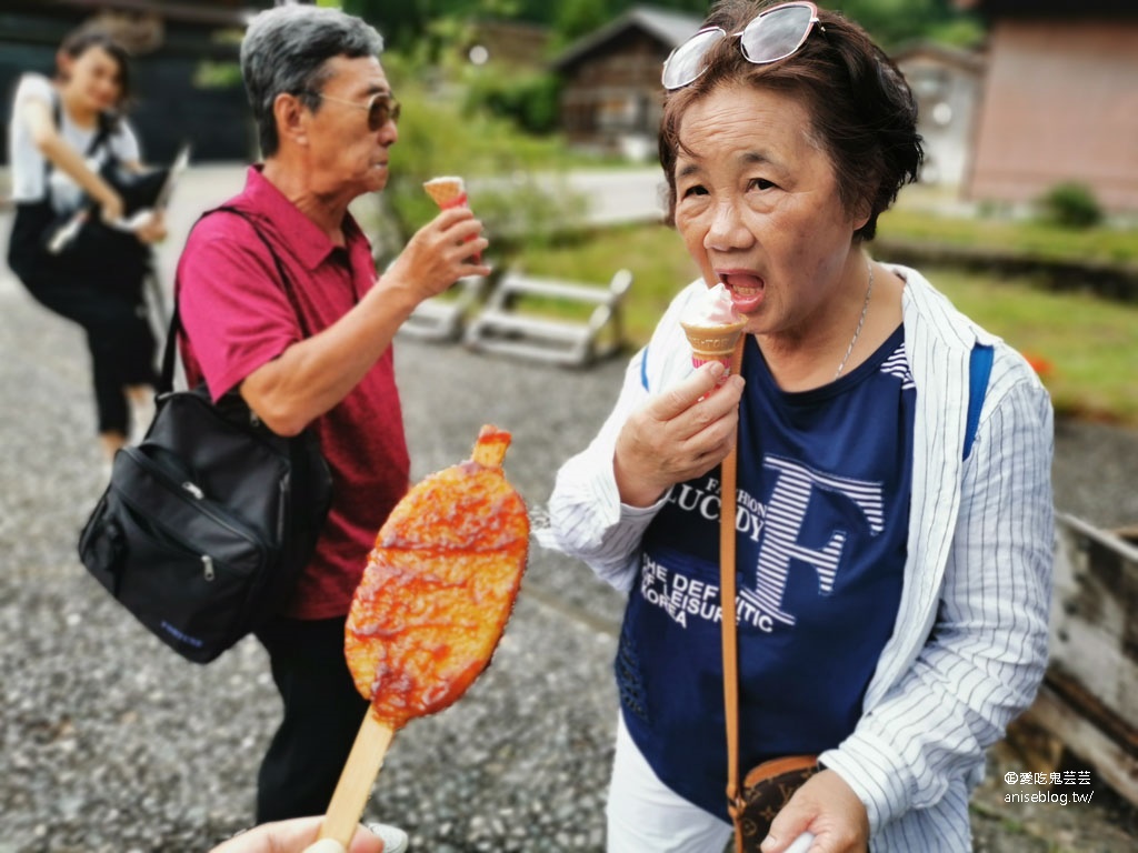 合掌村一日遊：城山展望台、高山小吃、和田家、合掌造文化喫茶鄉愁咖啡、狩人輕食、三間小屋 @2019日本中部孝親之旅