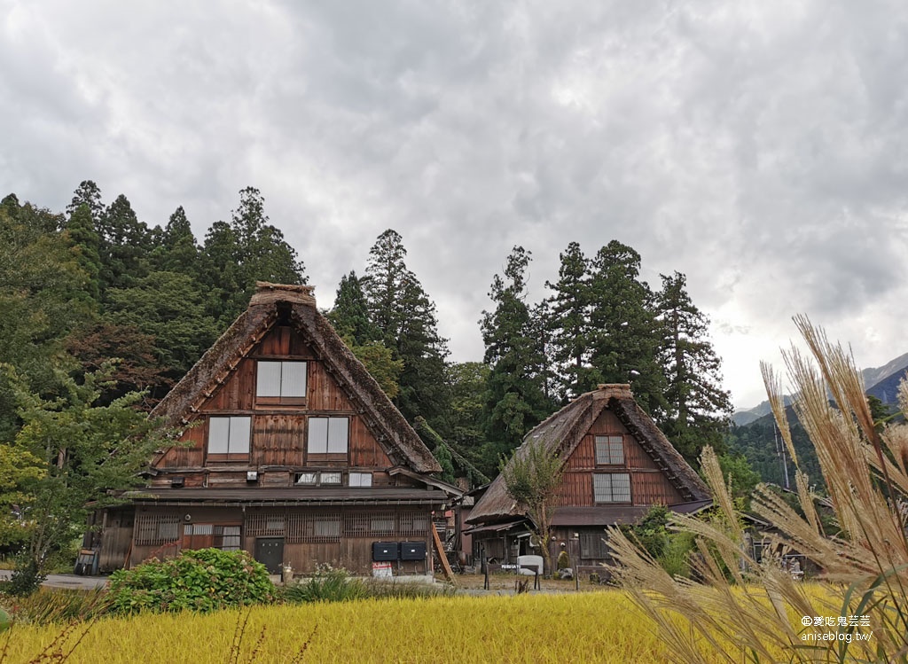 合掌村一日遊：城山展望台、高山小吃、和田家、合掌造文化喫茶鄉愁咖啡、狩人輕食、三間小屋 @2019日本中部孝親之旅