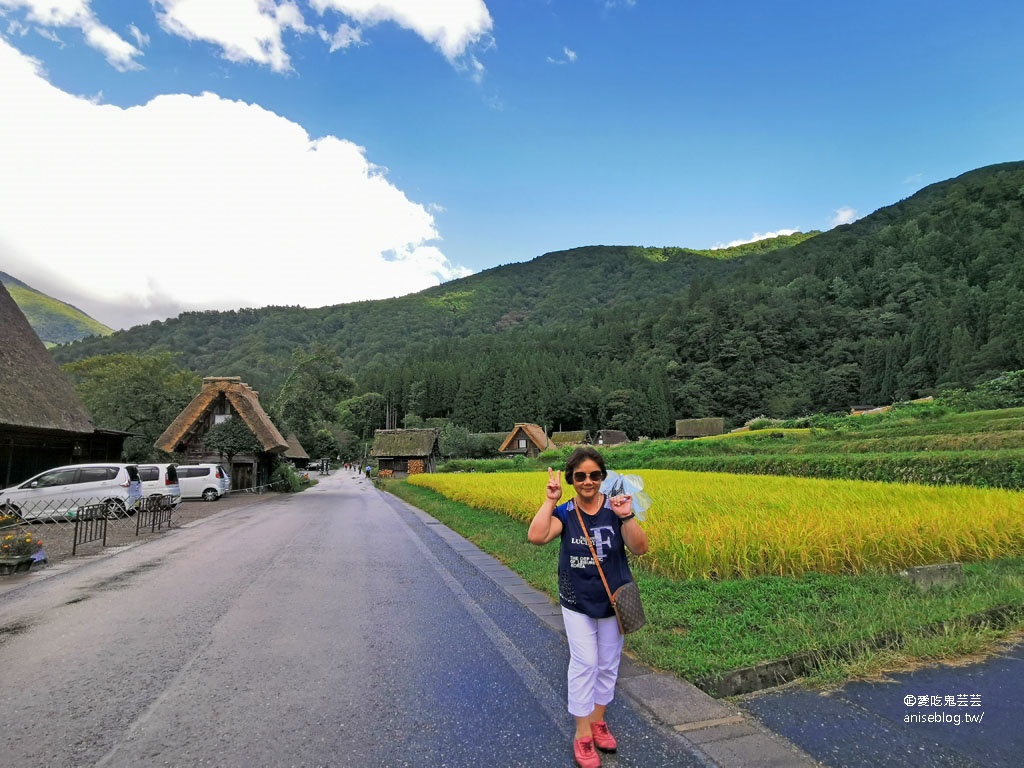 合掌村一日遊：城山展望台、高山小吃、和田家、合掌造文化喫茶鄉愁咖啡、狩人輕食、三間小屋 @2019日本中部孝親之旅