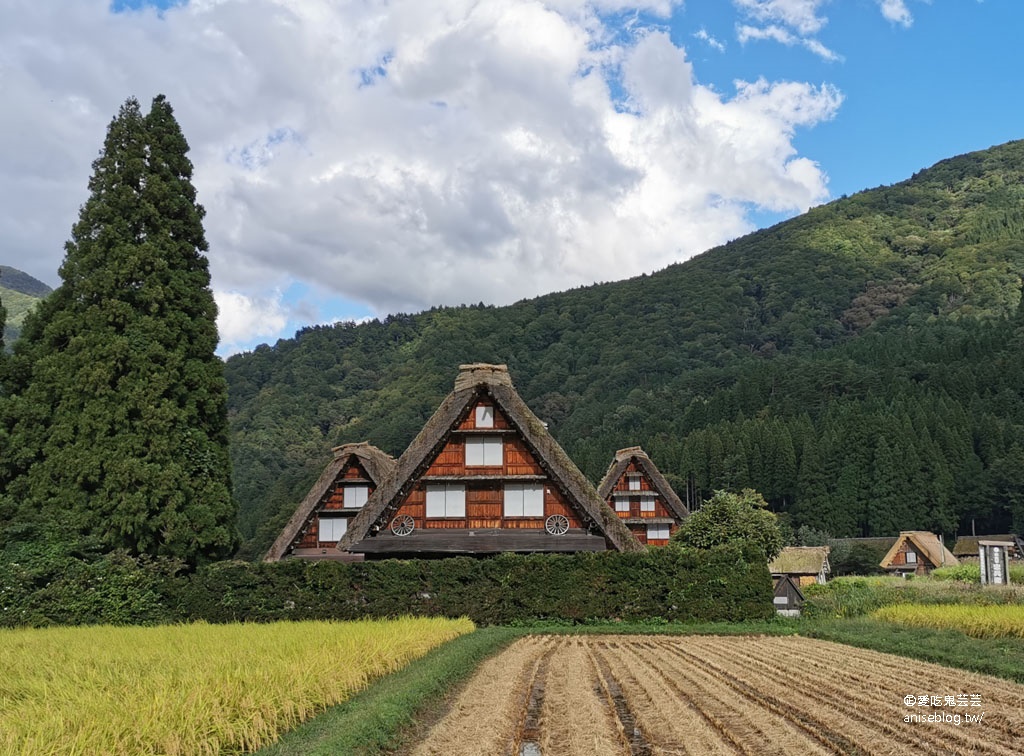 合掌村一日遊：城山展望台、高山小吃、和田家、合掌造文化喫茶鄉愁咖啡、狩人輕食、三間小屋 @2019日本中部孝親之旅