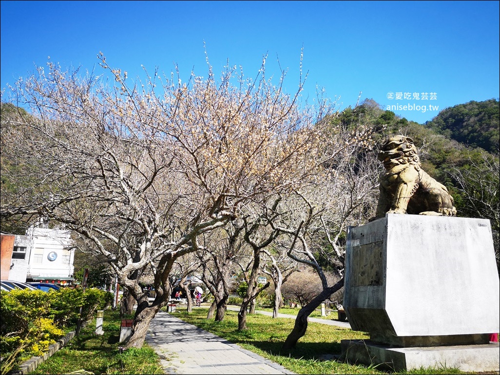 蘇花改小旅行，太魯閣國家公園、白楊步道水簾洞，花蓮旅遊景點(姊姊遊記)