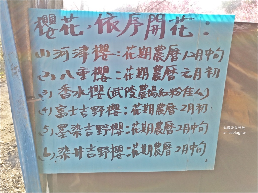 台北、新北櫻花季，8個景點、秘境一次收錄，陸續更新(姊姊遊記)