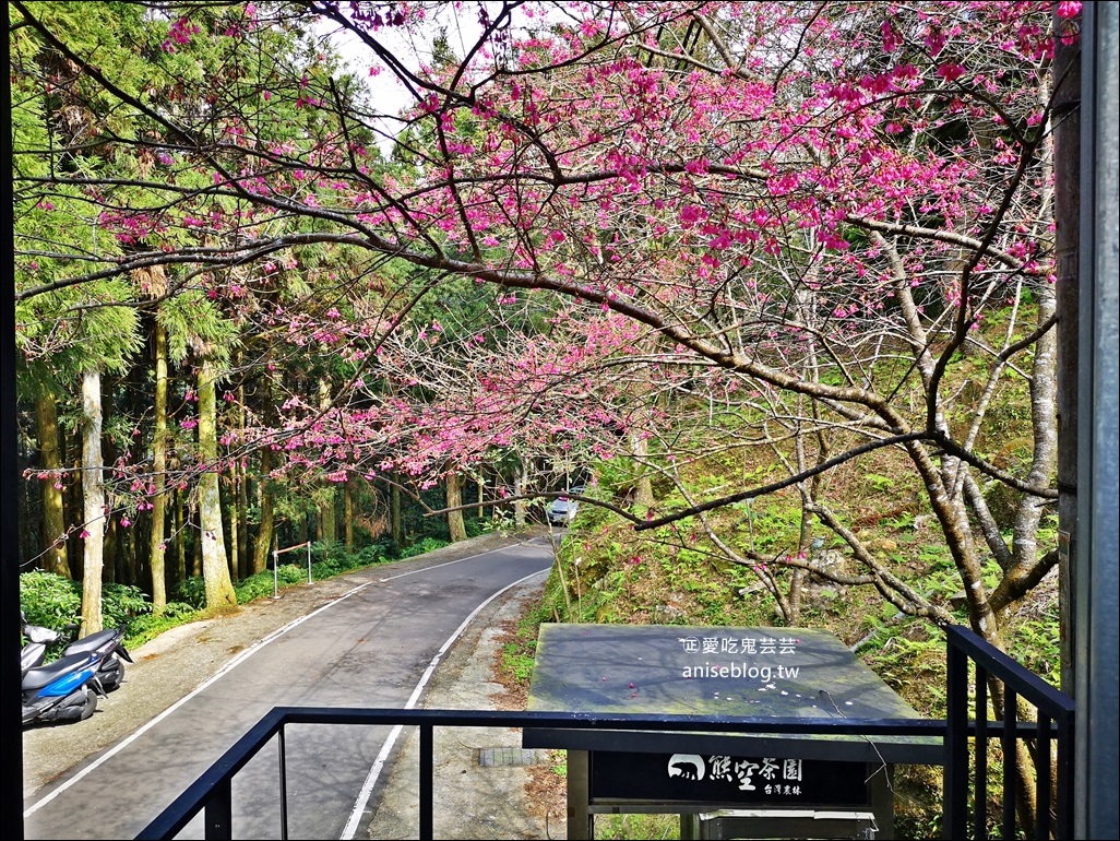 台北、新北櫻花季，8個景點、秘境一次收錄，陸續更新(姊姊遊記)