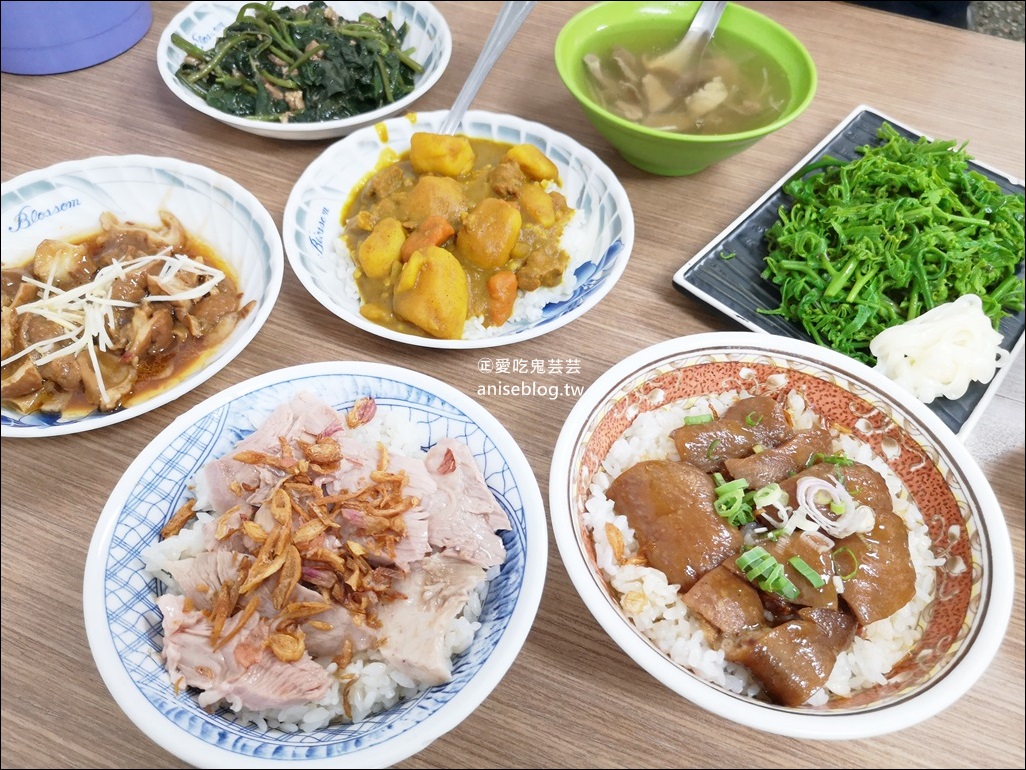 嘉義公園火雞肉飯、魯肉飯、咖哩飯，金黃油蔥迷人香氣(姊姊食記)