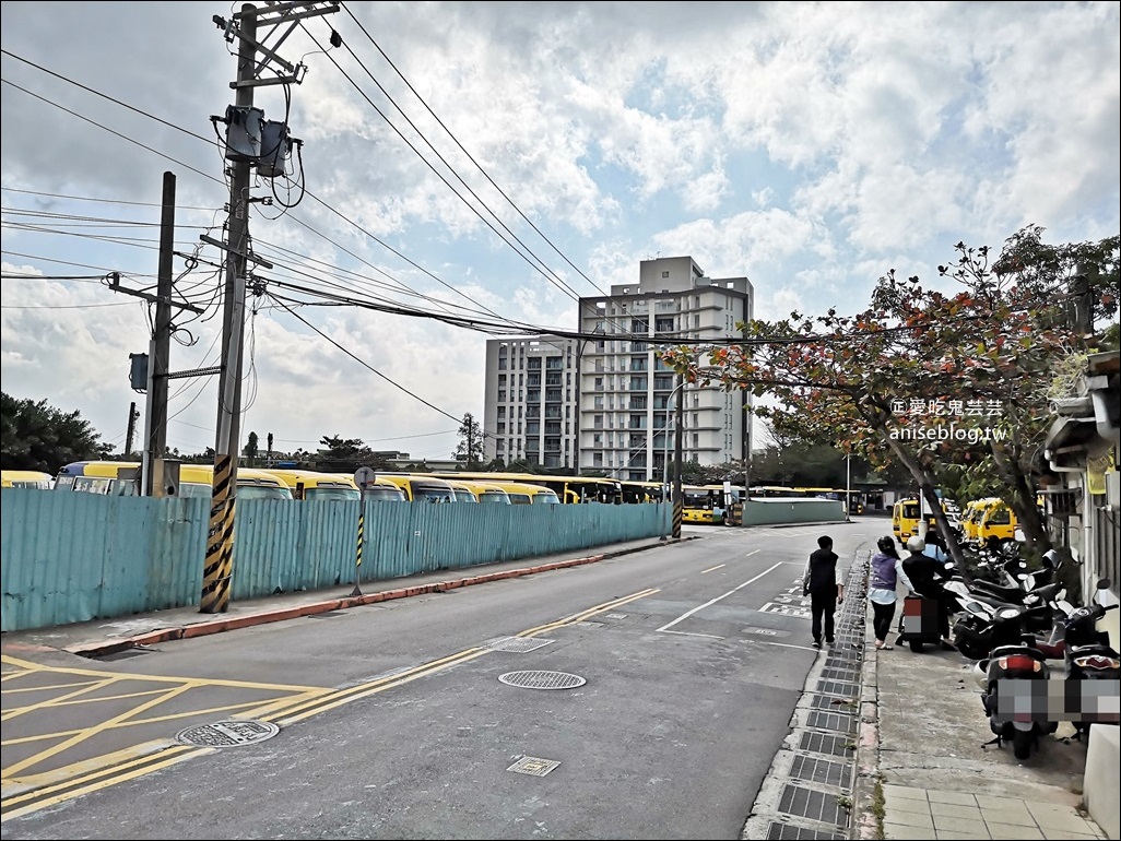 北投社三層崎公園花海，台版小美瑛、富良野四季彩之丘，北投新景點(姊姊遊記)