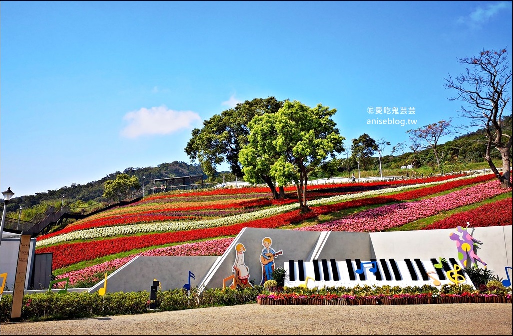 北投社三層崎公園花海，台版小美瑛、富良野四季彩之丘，北投新景點(姊姊遊記)