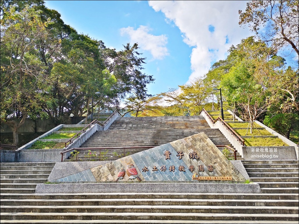 北投社三層崎公園花海，台版小美瑛、富良野四季彩之丘，北投新景點(姊姊遊記)