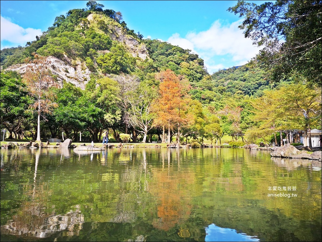 北投社三層崎公園花海，台版小美瑛、富良野四季彩之丘，北投新景點(姊姊遊記)