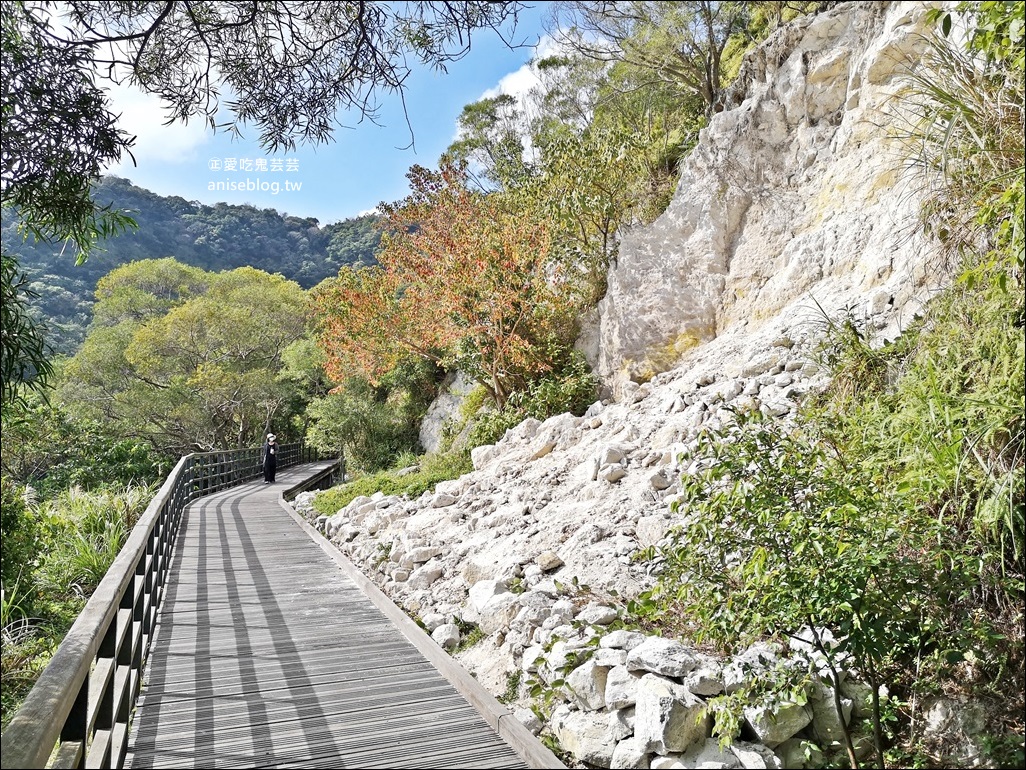 北投社三層崎公園花海，台版小美瑛、富良野四季彩之丘，北投新景點(姊姊遊記)