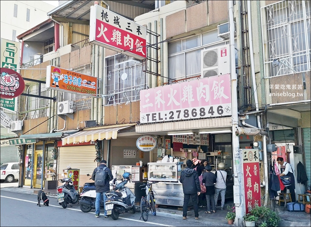 桃城三禾火雞肉飯，火雞肉片更讚！辣蘿蔔乾必吃！(姊姊食記)