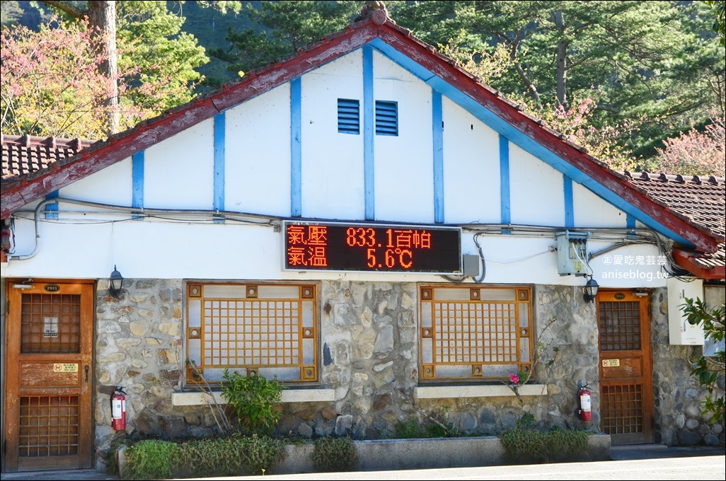 武陵農場櫻花季一日遊行程，宜蘭、台中景點(姊姊遊記)