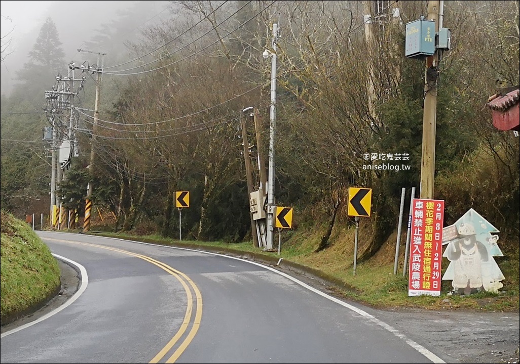 武陵農場櫻花季一日遊行程，宜蘭、台中景點(姊姊遊記)