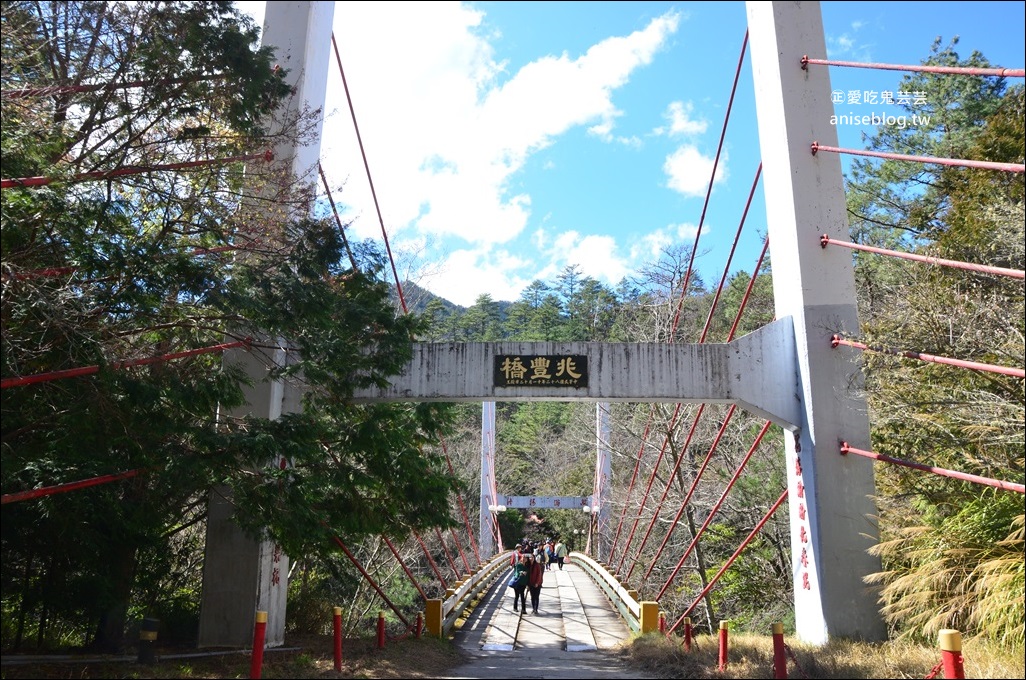 武陵農場櫻花季一日遊行程，宜蘭、台中景點(姊姊遊記)