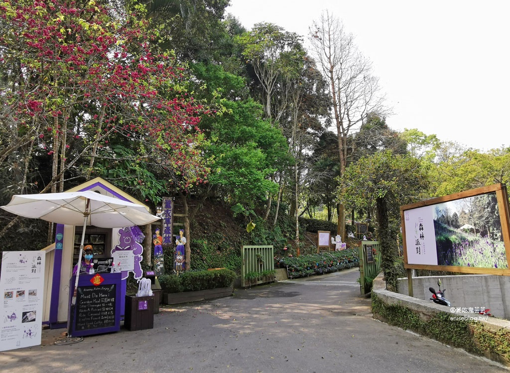 薰衣草森林台中新社店孝親之旅，住宿、用餐、遊園2天1夜好充實！