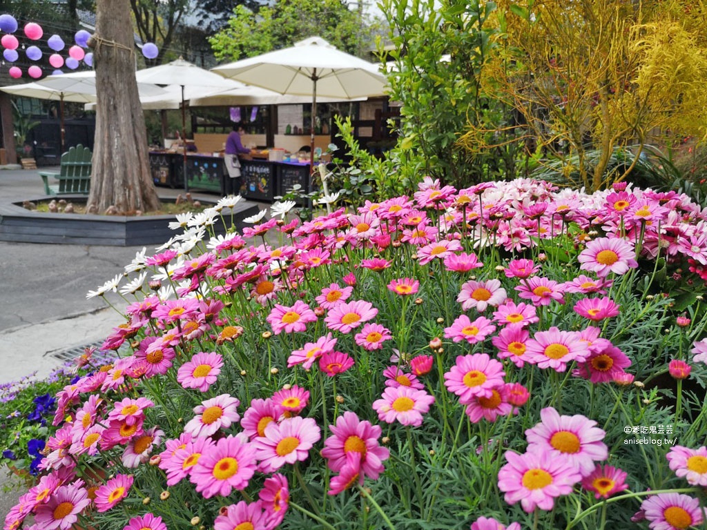 薰衣草森林台中新社店孝親之旅，住宿、用餐、遊園2天1夜好充實！