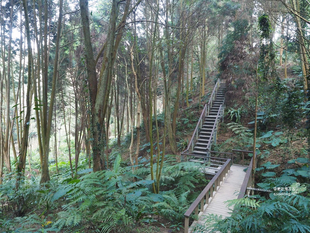 薰衣草森林台中新社店孝親之旅，住宿、用餐、遊園2天1夜好充實！