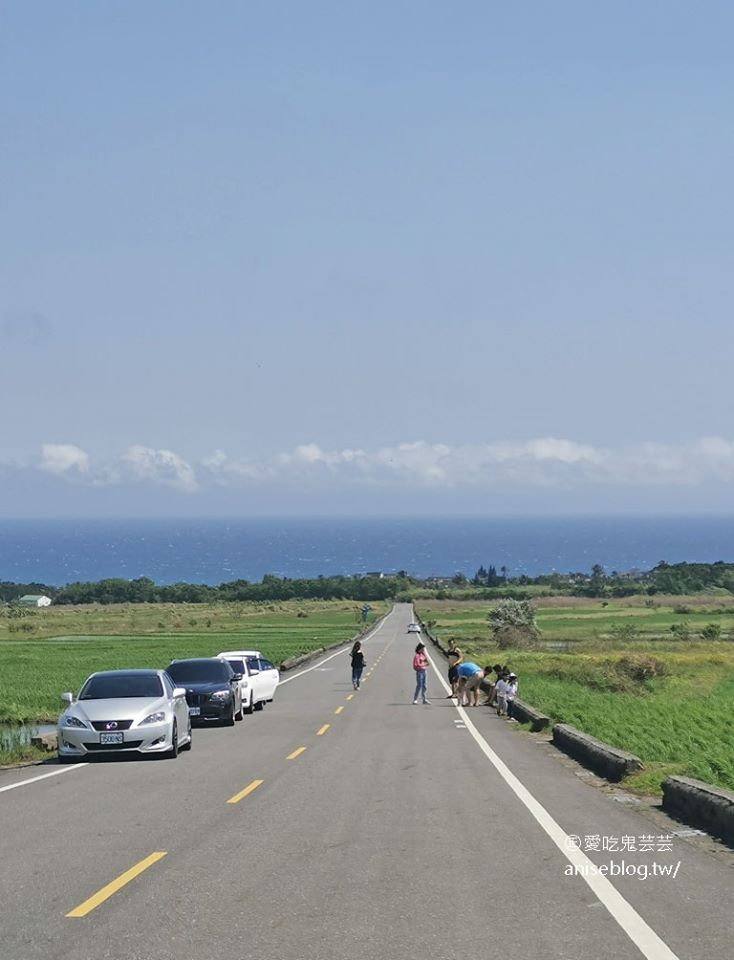 2020 花東七日小旅行行程總整理 (圖多)