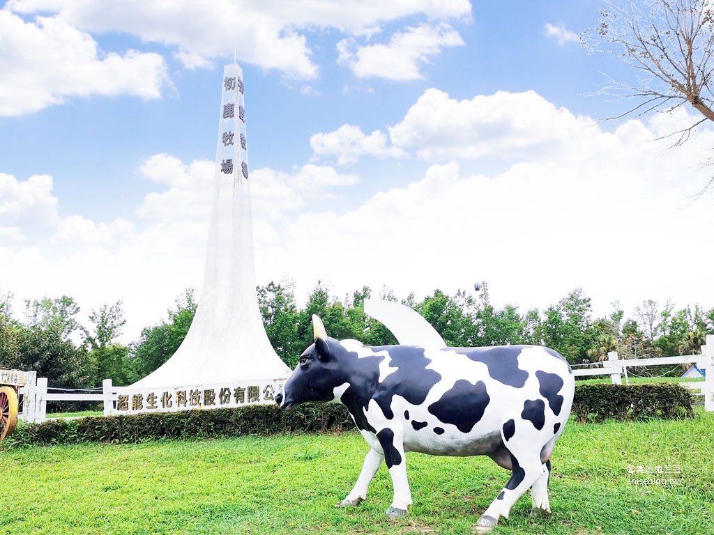 2020 花東七日小旅行行程總整理 (圖多)