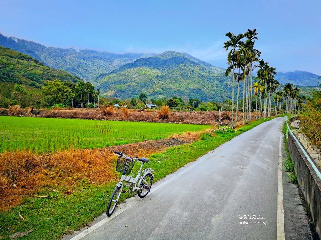 2020 花東七日小旅行行程總整理 (圖多)