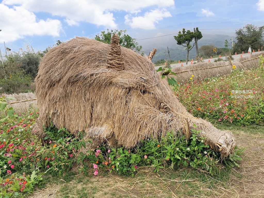 2020 花東七日小旅行行程總整理 (圖多)