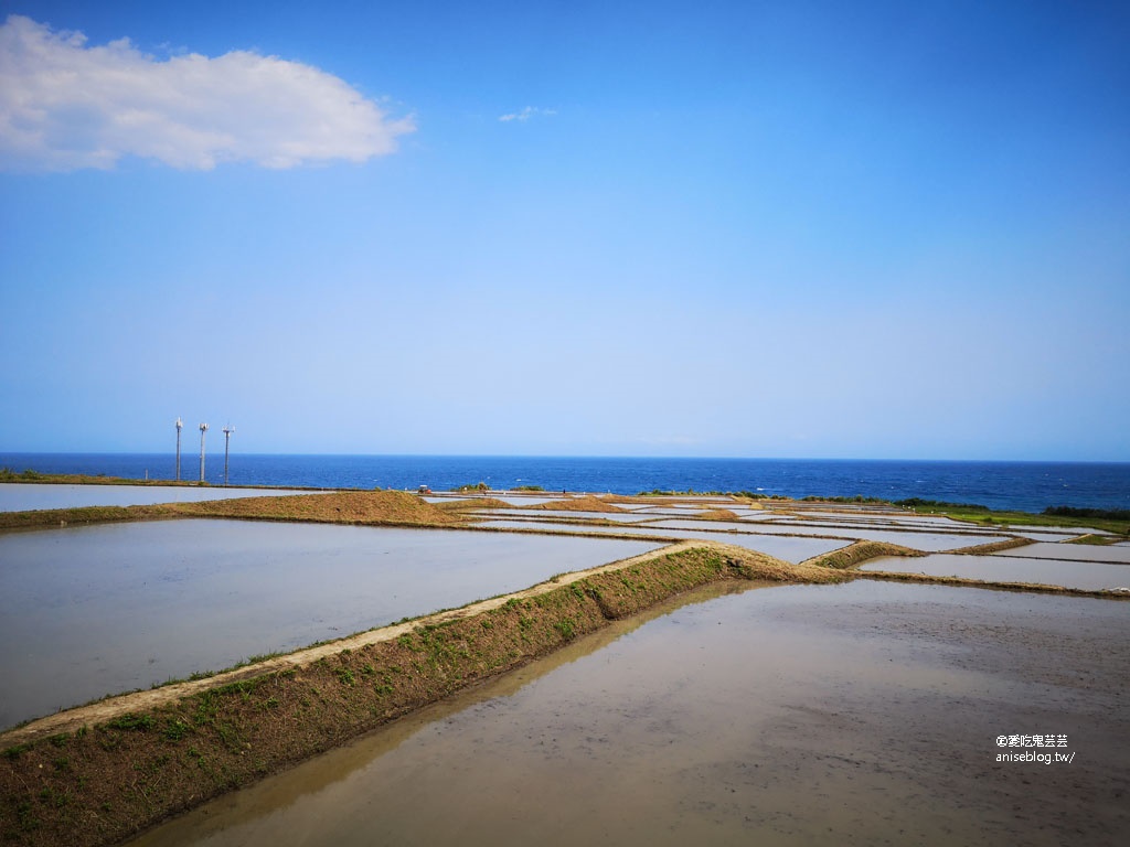 東海岸好拍美景：親不知子斷崖(豐濱天空步道)、新社梯田(東海岸大地藝術節)、金剛大道、長濱觀景台、石雨傘、三仙台