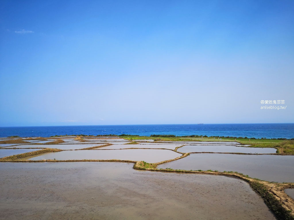 東海岸好拍美景：親不知子斷崖(豐濱天空步道)、新社梯田(東海岸大地藝術節)、金剛大道、長濱觀景台、石雨傘、三仙台