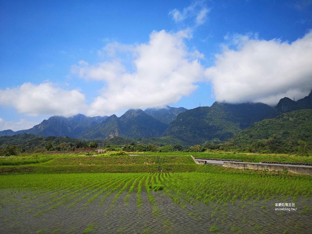 東海岸好拍美景：親不知子斷崖(豐濱天空步道)、新社梯田(東海岸大地藝術節)、金剛大道、長濱觀景台、石雨傘、三仙台