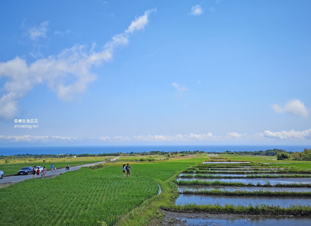 東海岸好拍美景：親不知子斷崖(豐濱天空步道)、新社梯田(東海岸大地藝術節)、金剛大道、長濱觀景台、石雨傘、三仙台