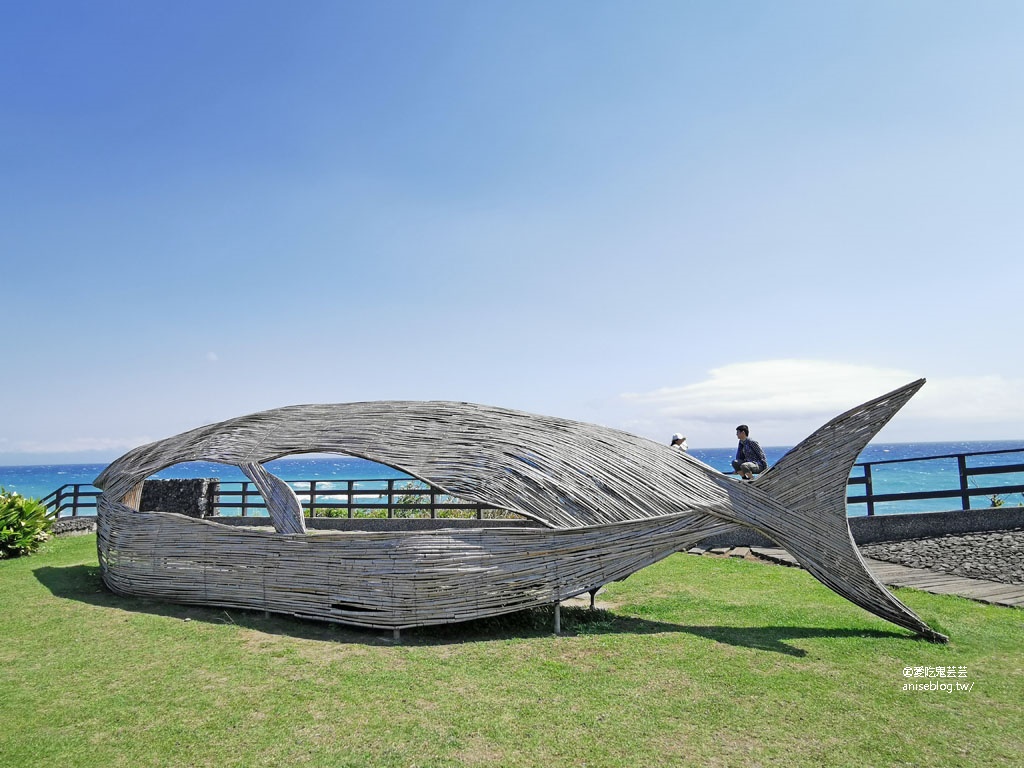 東海岸好拍美景：親不知子斷崖(豐濱天空步道)、新社梯田(東海岸大地藝術節)、金剛大道、長濱觀景台、石雨傘、三仙台