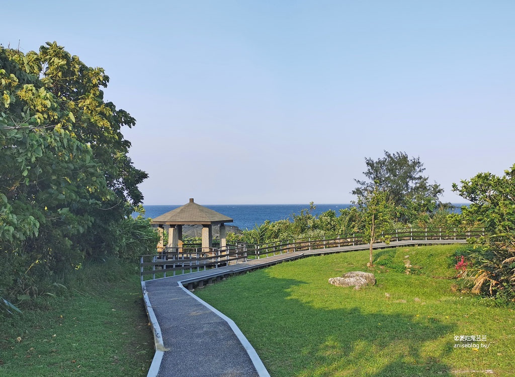 東海岸好拍美景：親不知子斷崖(豐濱天空步道)、新社梯田(東海岸大地藝術節)、金剛大道、長濱觀景台、石雨傘、三仙台