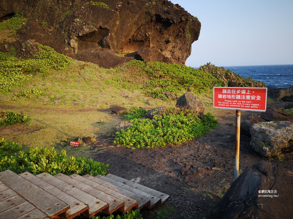 東海岸好拍美景：親不知子斷崖(豐濱天空步道)、新社梯田(東海岸大地藝術節)、金剛大道、長濱觀景台、石雨傘、三仙台