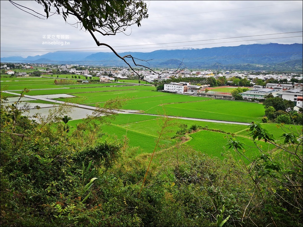 池上、關山、富里5個好拍景點，台東縱谷一日遊(姊姊遊記)