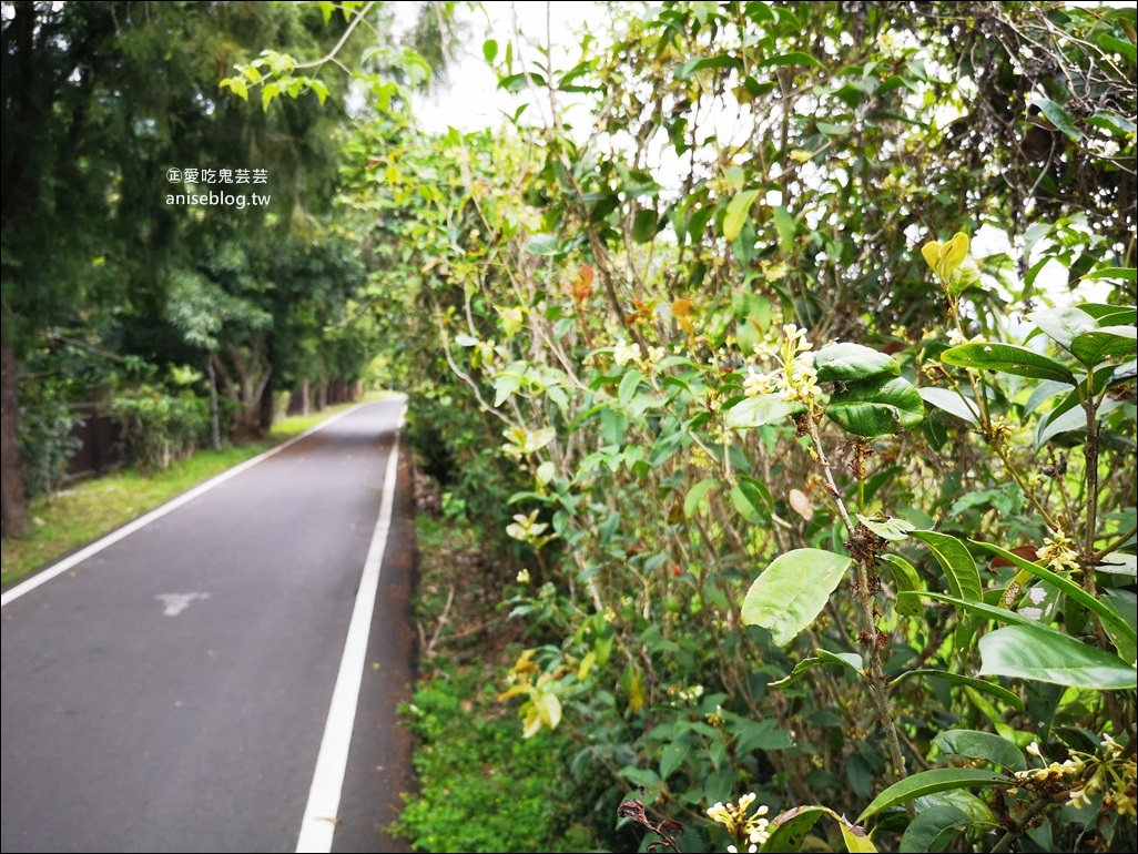 池上、關山、富里5個好拍景點，台東縱谷一日遊(姊姊遊記)