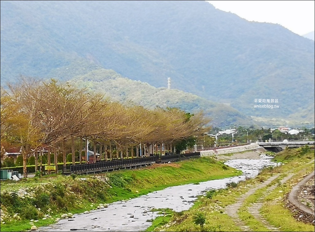 池上、關山、富里5個好拍景點，台東縱谷一日遊(姊姊遊記)