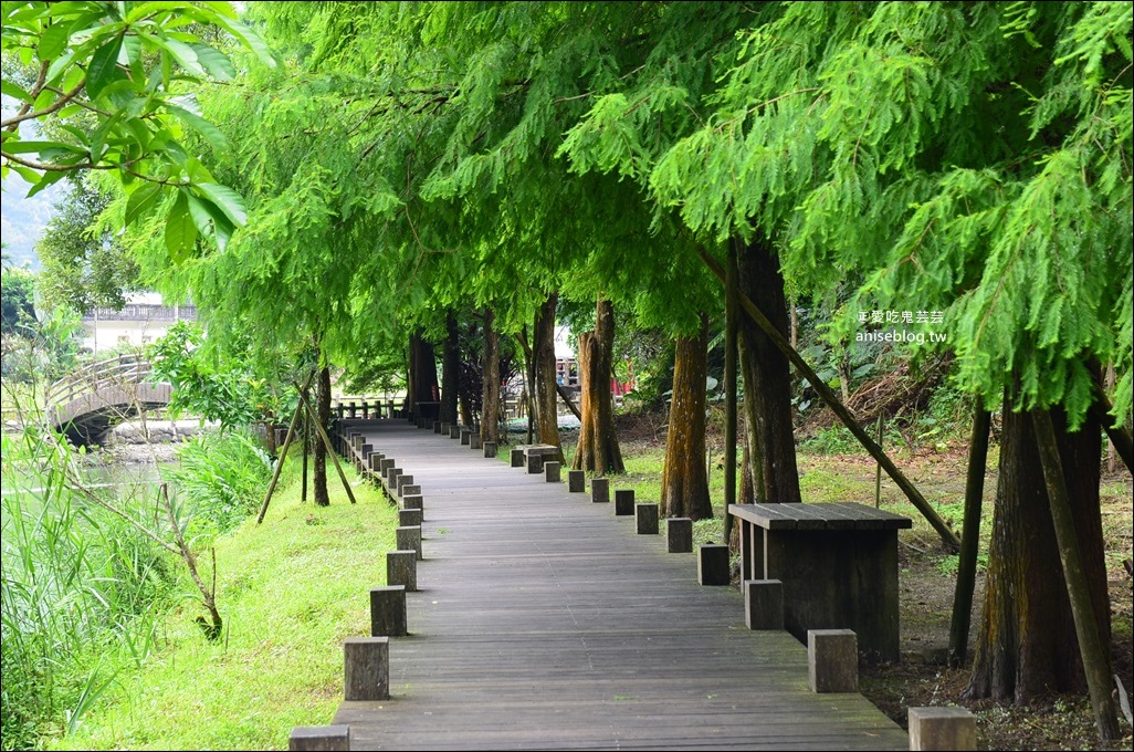 宜蘭步道總整理，超過30條親山近水一日遊行程(姊姊遊記)