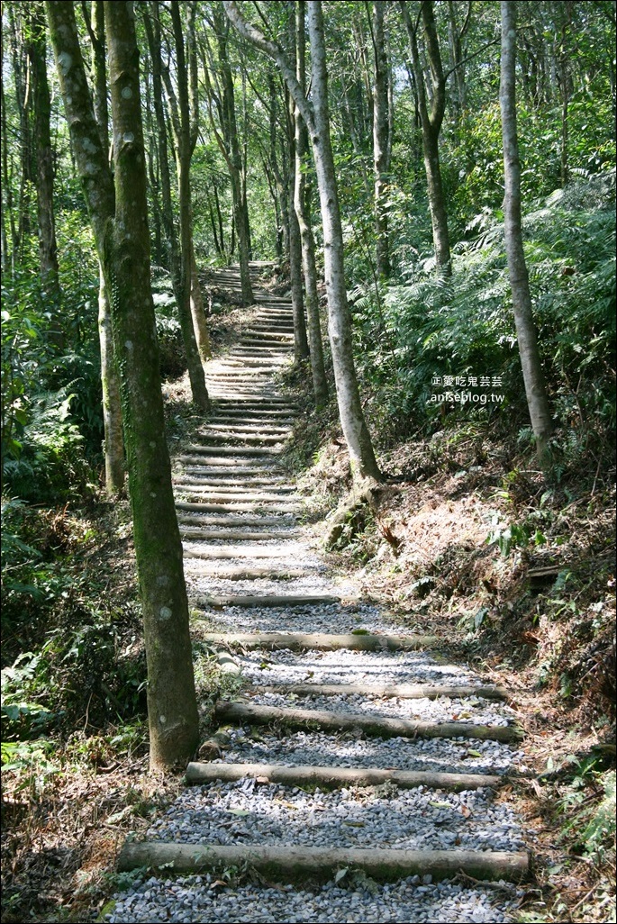 宜蘭步道總整理，超過30條親山近水一日遊行程(姊姊遊記)