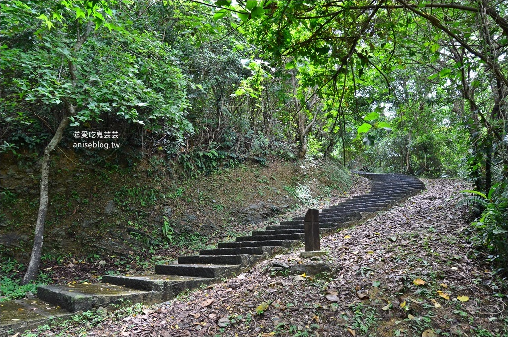 宜蘭步道總整理，超過30條親山近水一日遊行程(姊姊遊記)