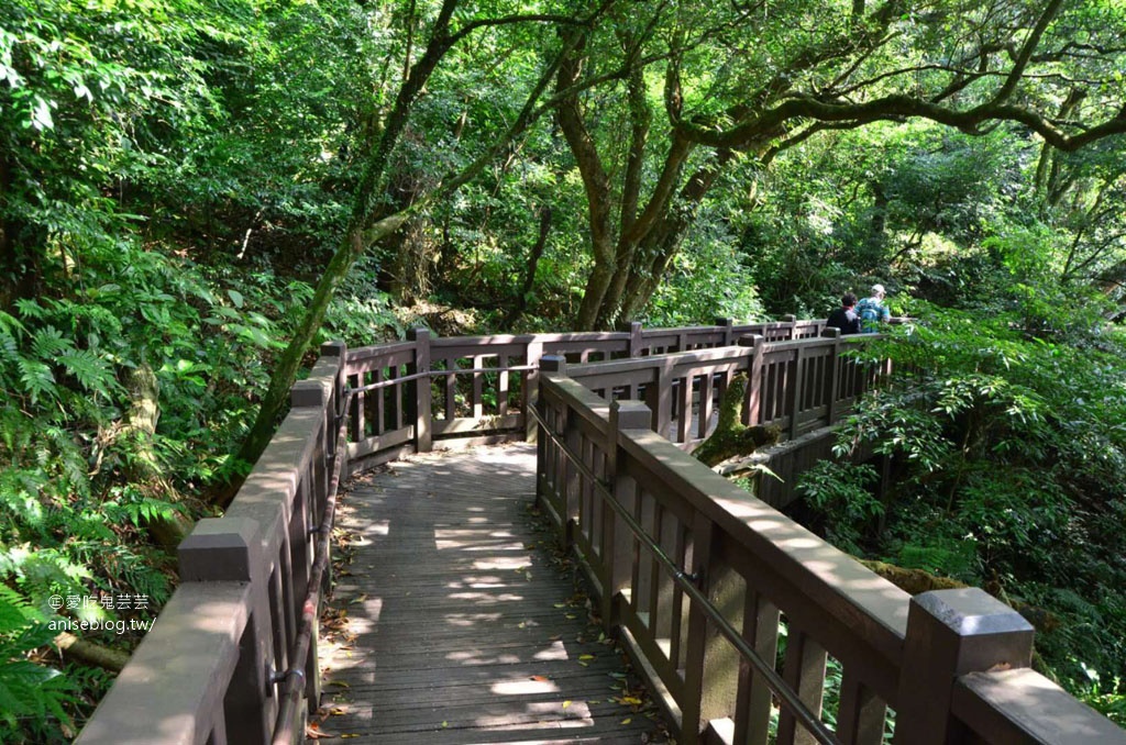 二子坪步道，陽明山最好走的步道，也是無障礙步道喔！